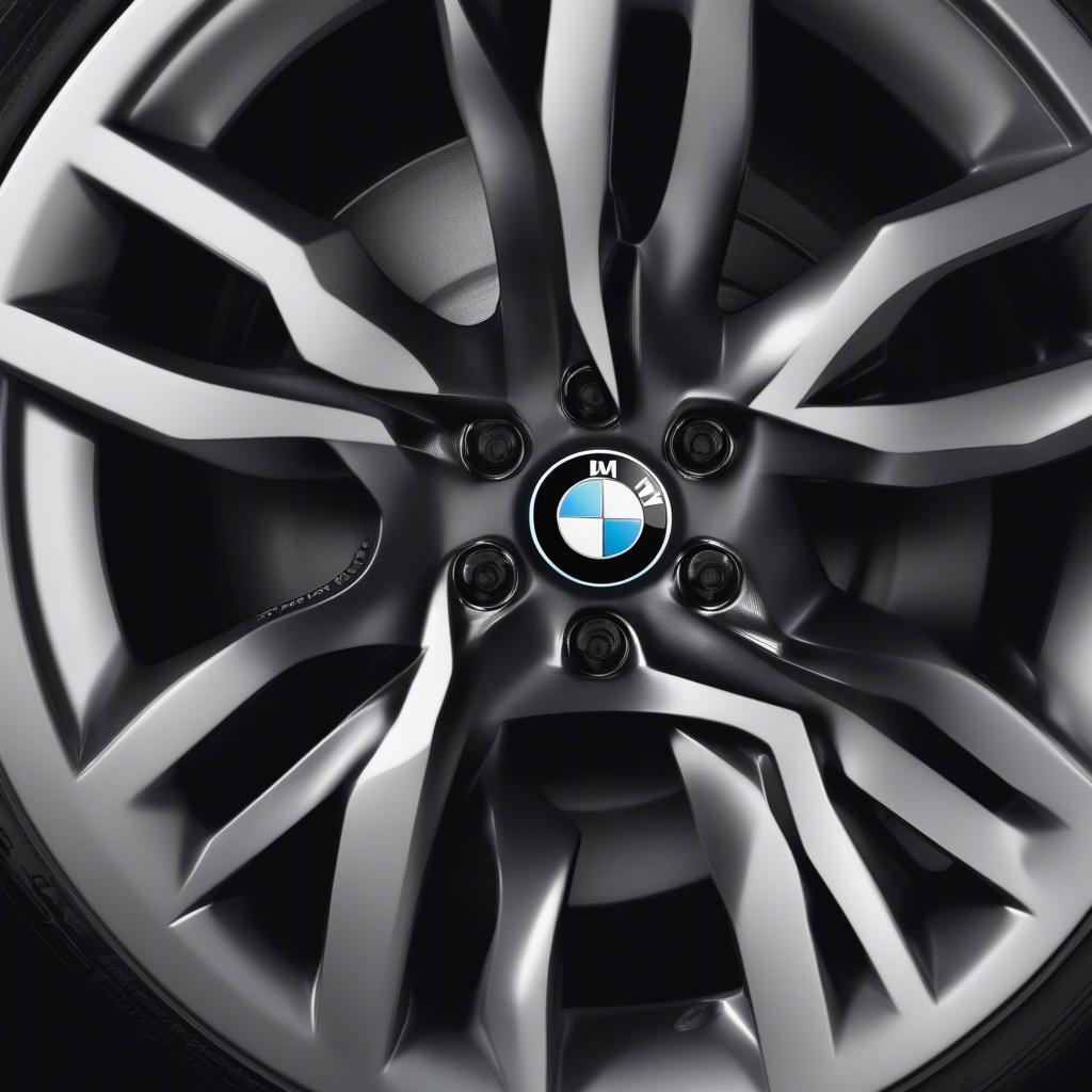 Mâm xe BMW lớn và đẹp