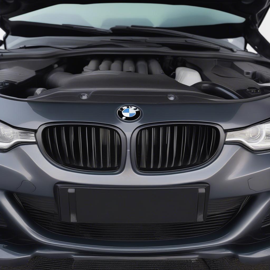 Nâng cấp air intake cho BMW 320i