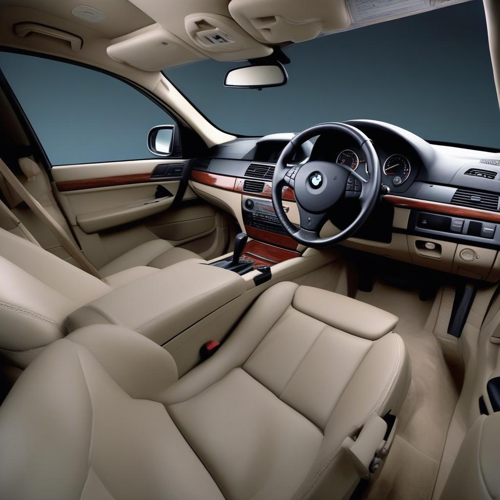 Interior of BMW X5 4.8 2007