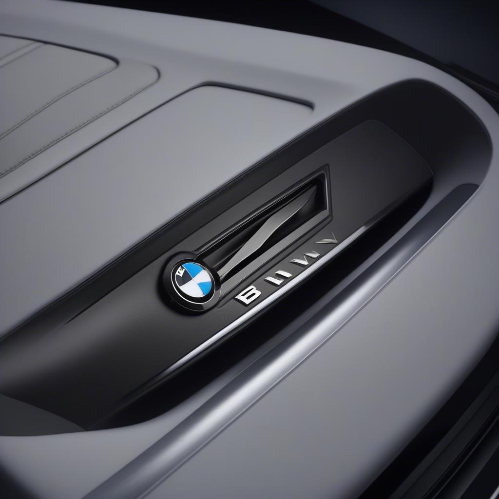 Ốp bậc cửa BMW sang trọng