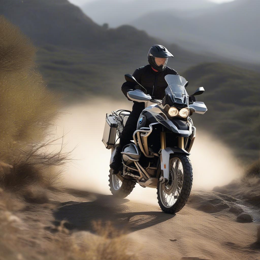 Lốp Pirelli Scorpion Trail II trên BMW R1200GS khi chạy off-road