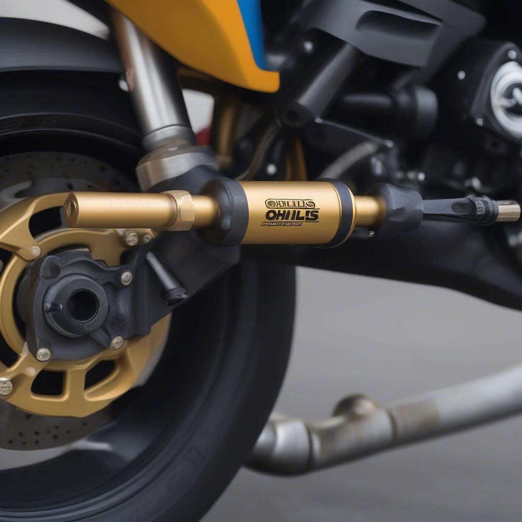 Trợ lực lái Ohlins chính hãng cho BMW S1000R