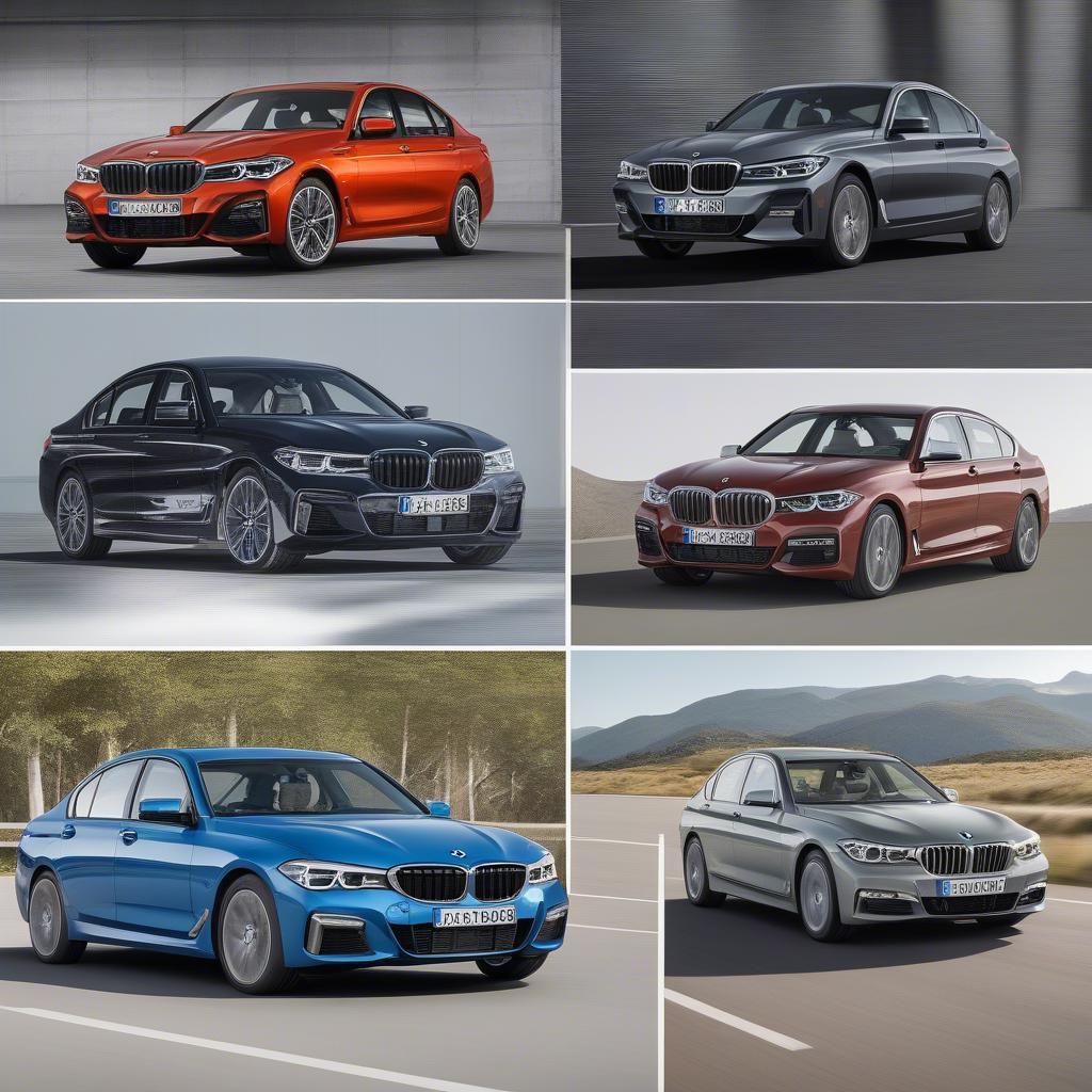 Các dòng xe BMW và giá cả tương ứng